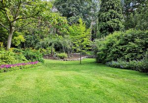 Optimiser l'expérience du jardin à La Boissiere-sur-Evre